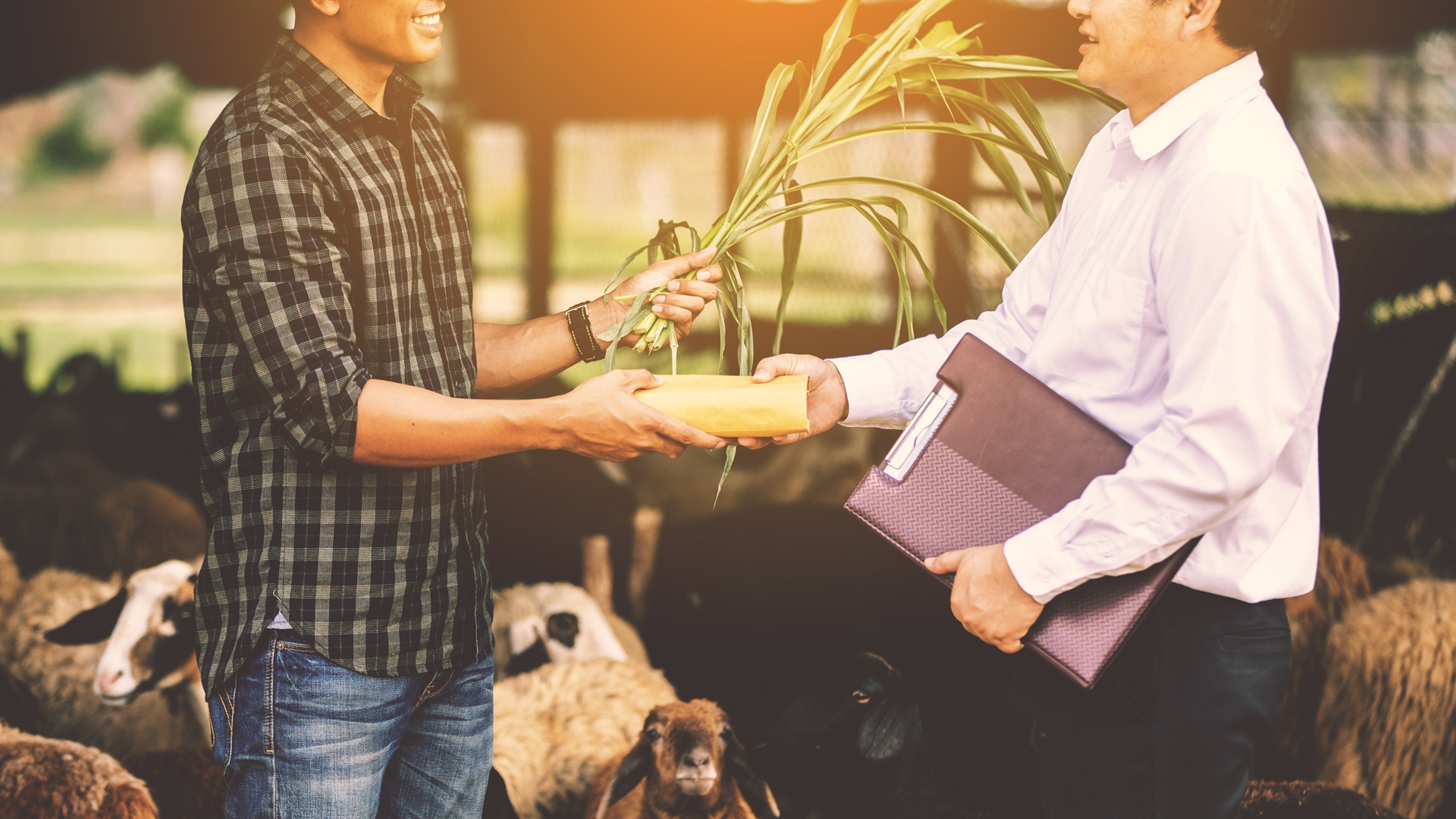 two people shaking hands